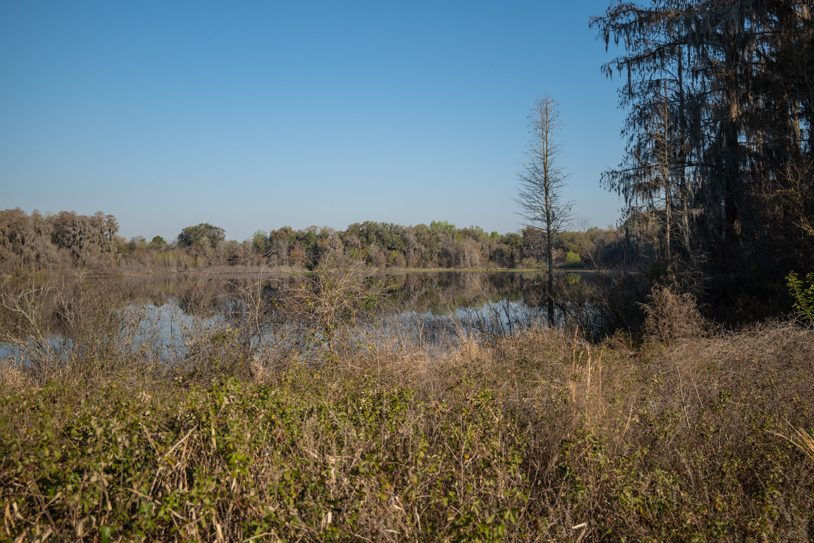 Image for 129+/- Acres Hamilton County, Florida