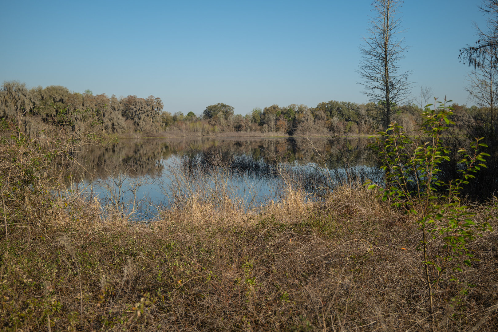 Image for 129+/- Acres Hamilton County, Florida