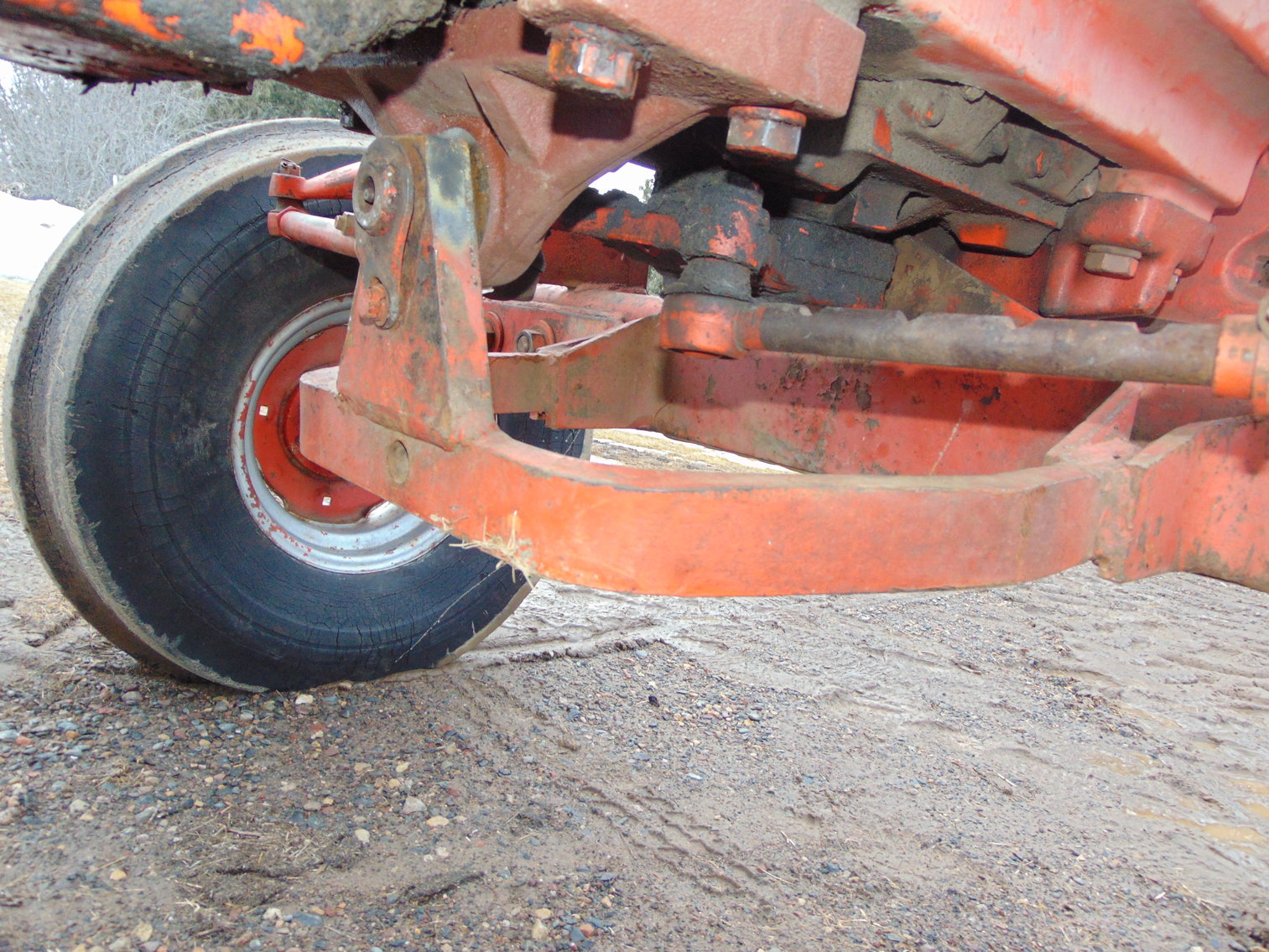 Image for Daryl Wallskog