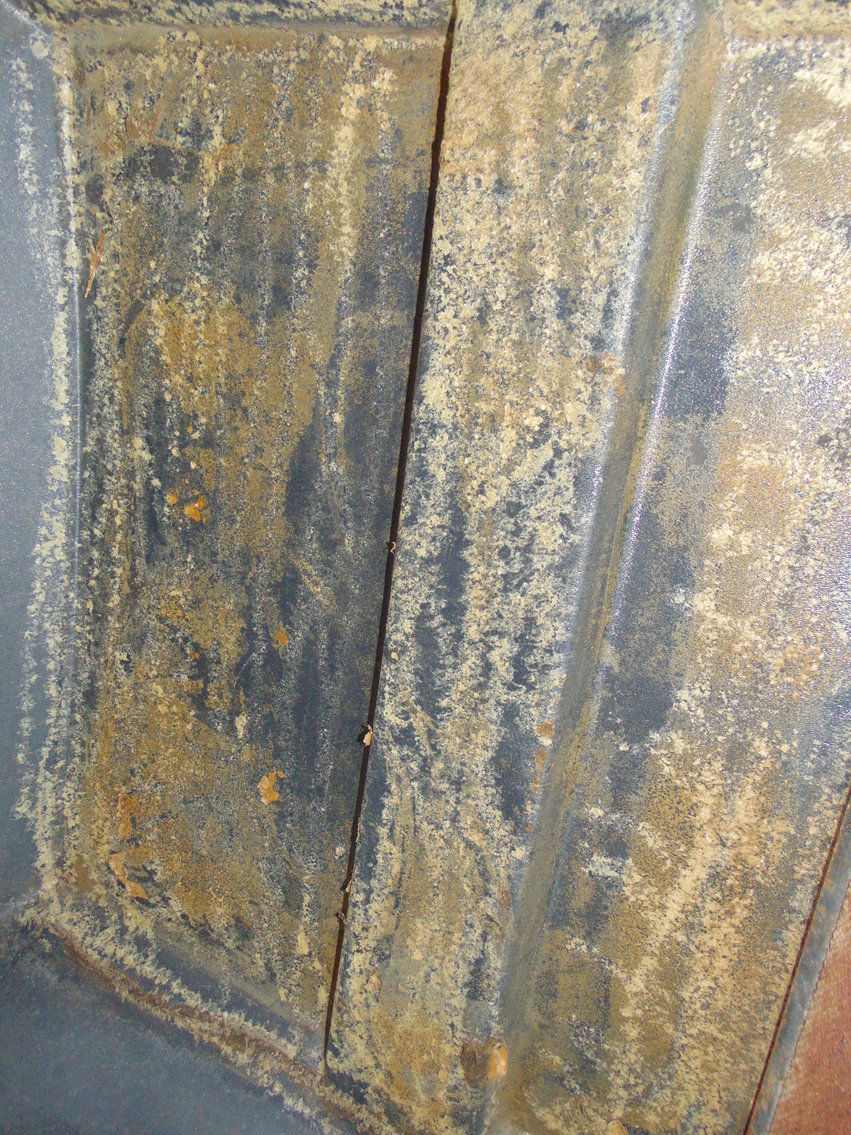 Image for Daryl Wallskog