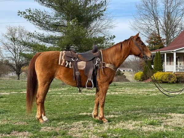 Image for 4R Spring Spectacular - March 25 & 26 - Bowling Green, Kentucky