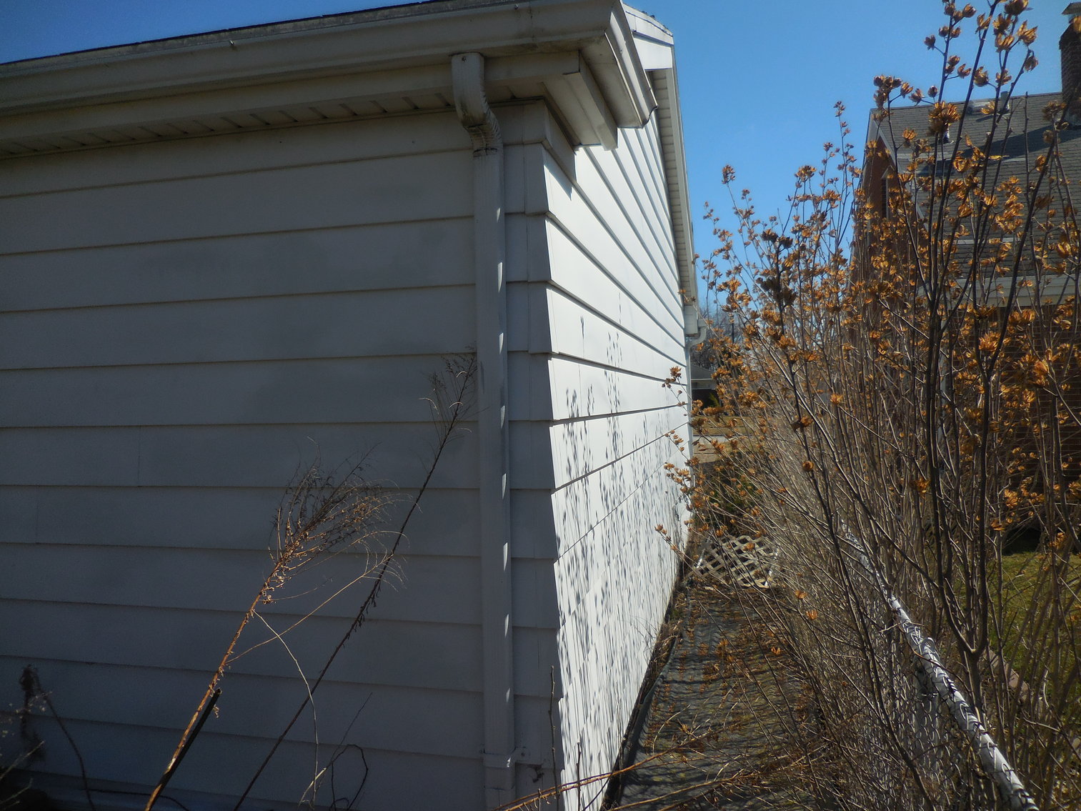 Image for 4355 288th Street, Toledo, Ohio 43611