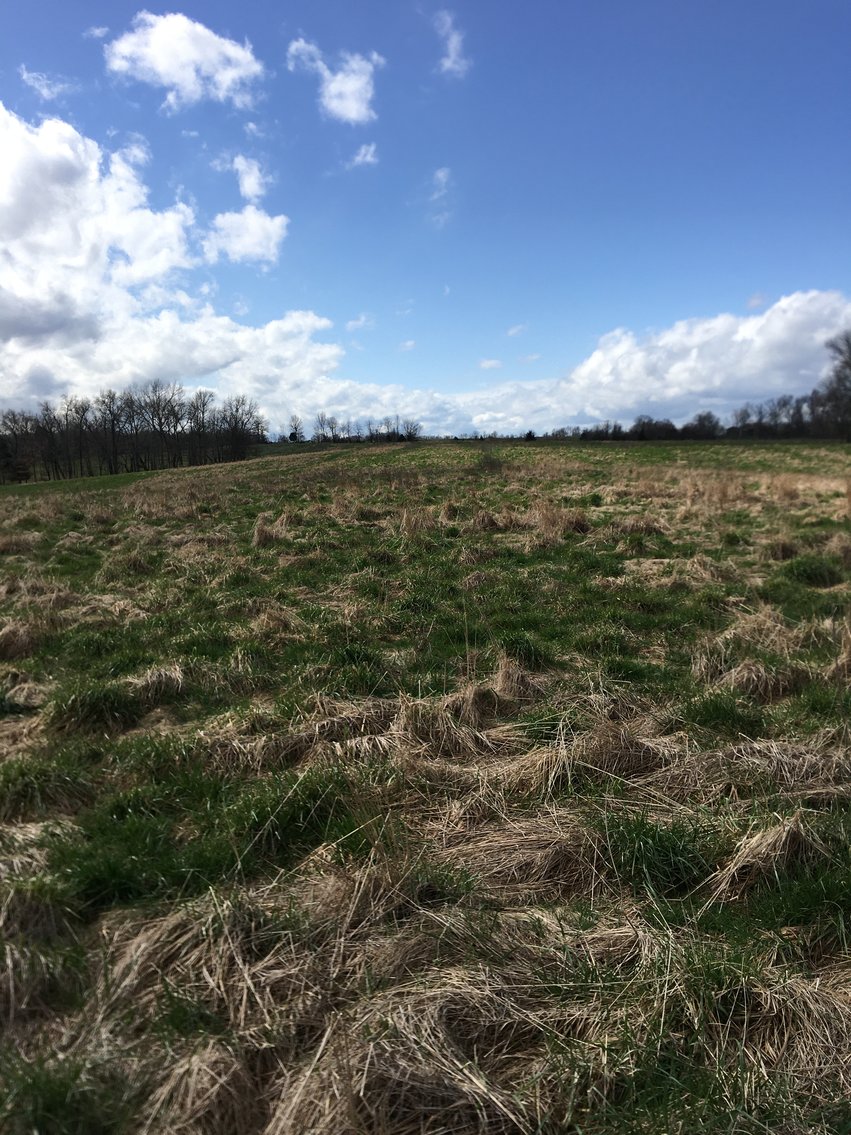 Image for Roy A. Massey Estate ~ Click Here For Details