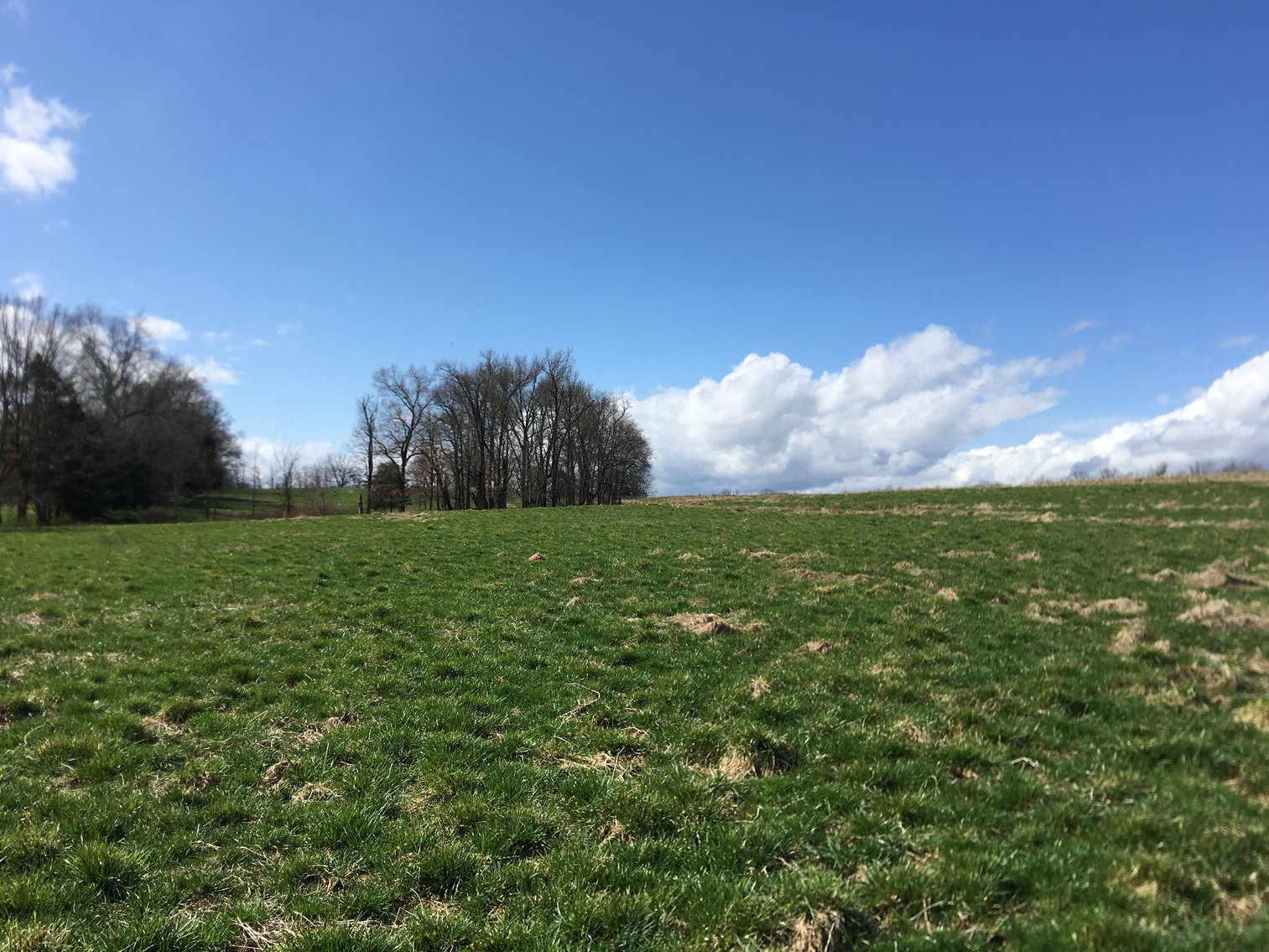 Image for Roy A. Massey Estate ~ Click Here For Details