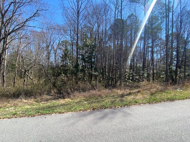 Image for REAL ESTATE AUCTION -County of Greensville Judicial Real Estate Tax Sale