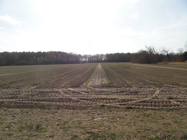 Image for Apr 9, 2022 Real Estate Auction