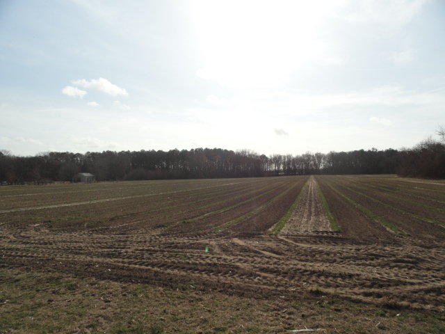 Image for Apr 9, 2022 Real Estate Auction