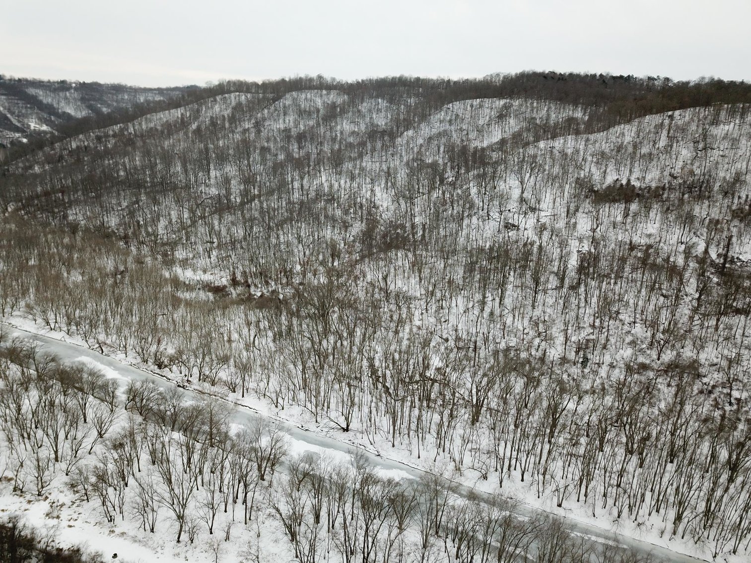 Image for SOLD $162,250 - 70 Acres in Moundsville Selling to the Highest Bidder