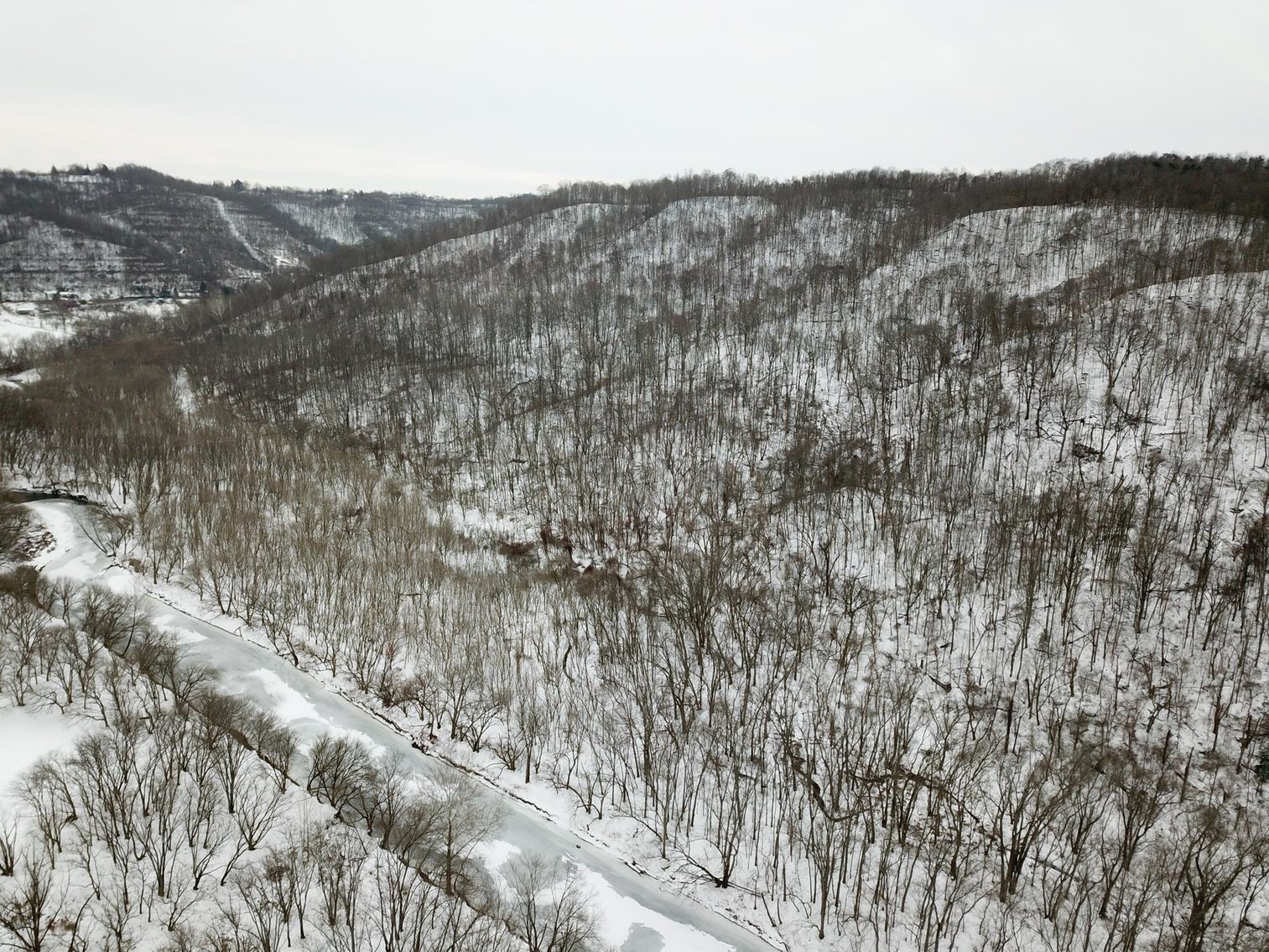 Image for SOLD $162,250 - 70 Acres in Moundsville Selling to the Highest Bidder