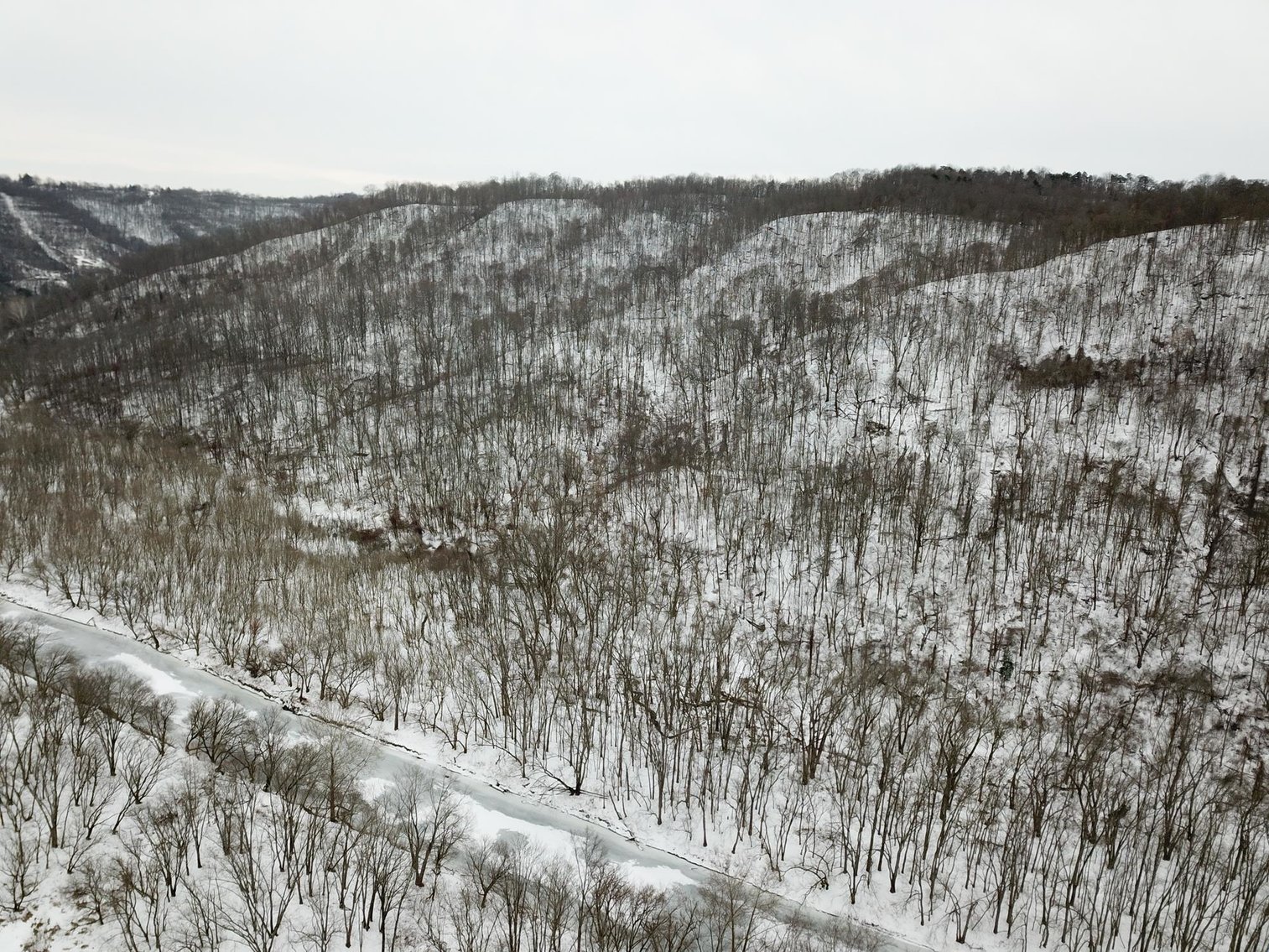 Image for SOLD $162,250 - 70 Acres in Moundsville Selling to the Highest Bidder