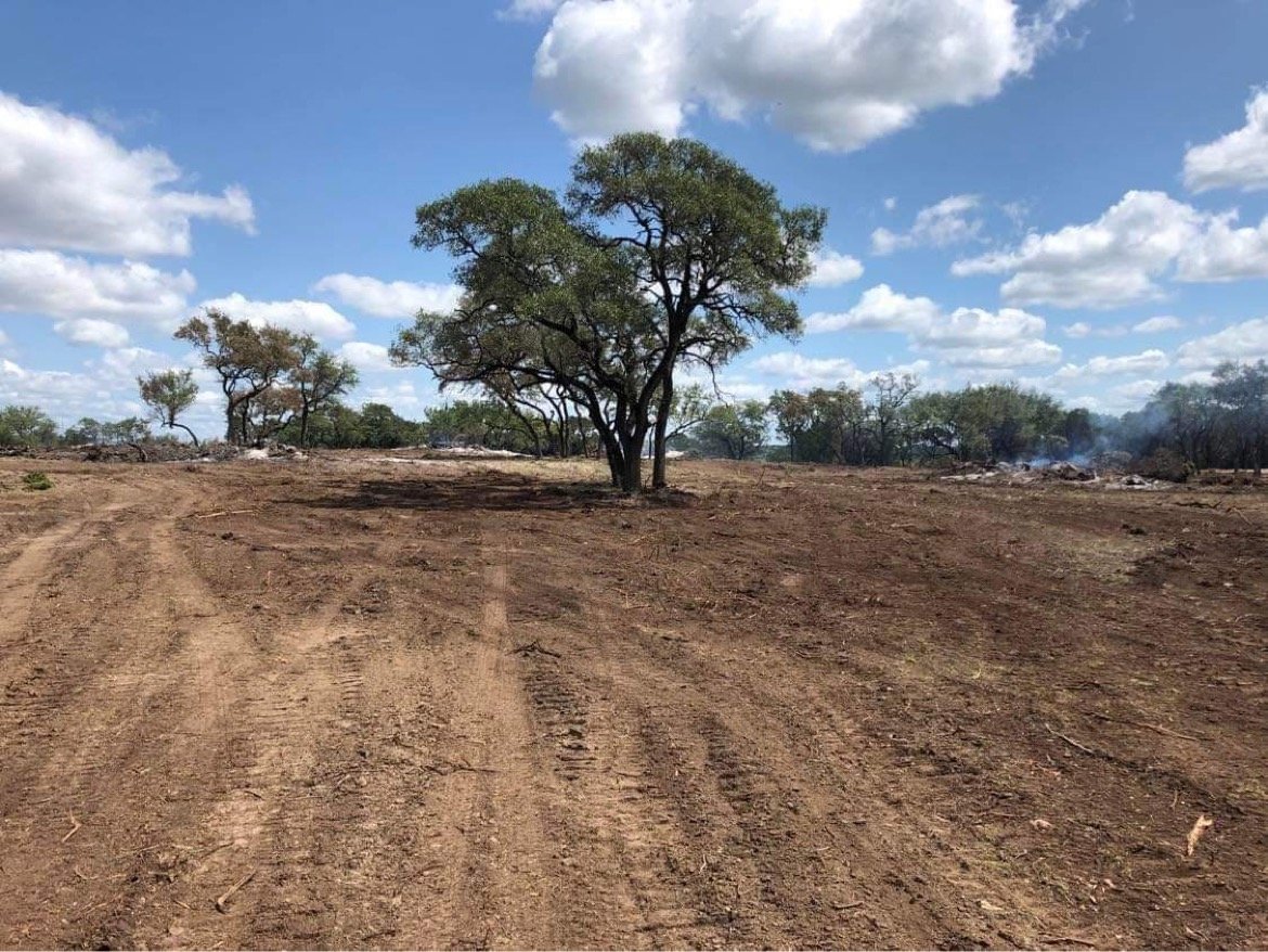 Image for 10 Acre Undeveloped Tract in a  Gated Development Community. 1801 Whitetail Ridge Dr. Kempner, Texas