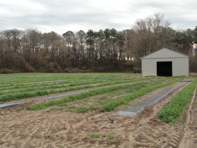 Image for Apr 9, 2022 Real Estate & Farm Equipment Auction