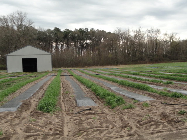 Image for Apr 9, 2022 Real Estate & Farm Equipment Auction