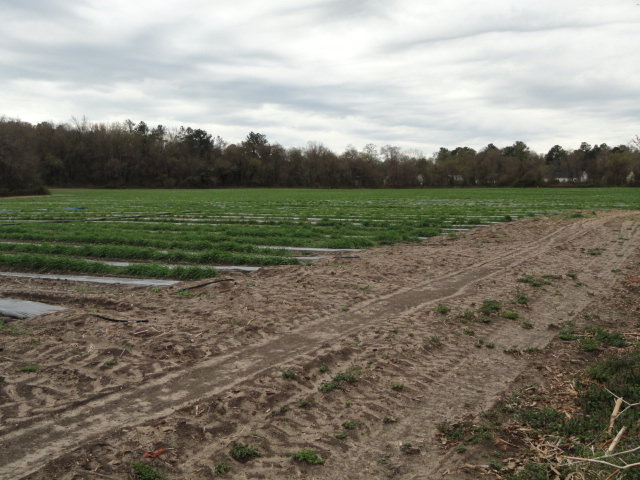 Image for Apr 9, 2022 Real Estate & Farm Equipment Auction