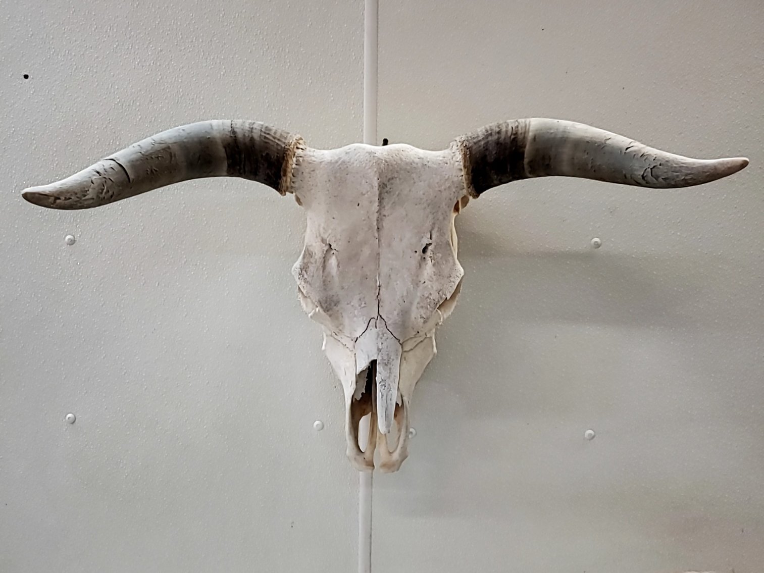 Image for Life Long Collection of Rich & Liz Brandt Auction #4  Western / South Western / Remington Bronze Online Auction