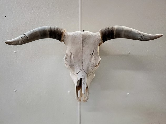 Image for Life Long Collection of Rich & Liz Brandt Auction #4  Western / South Western / Remington Bronze Online Auction