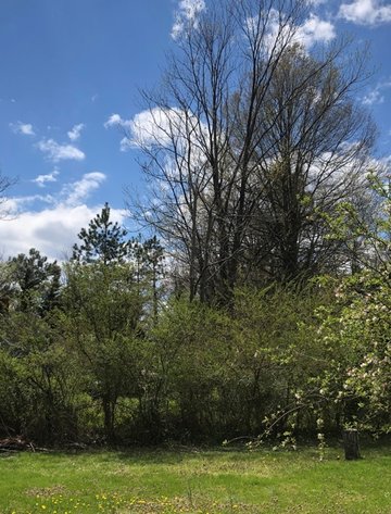 Image for Spotsylvania County, VA Sale of Tax Delinquent Real Estate