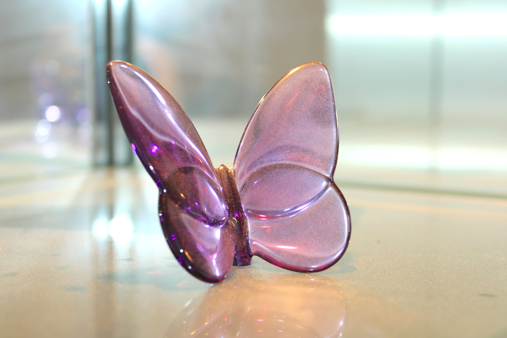 Image for WORLD TRAVELER'S ESTATE AUCTION