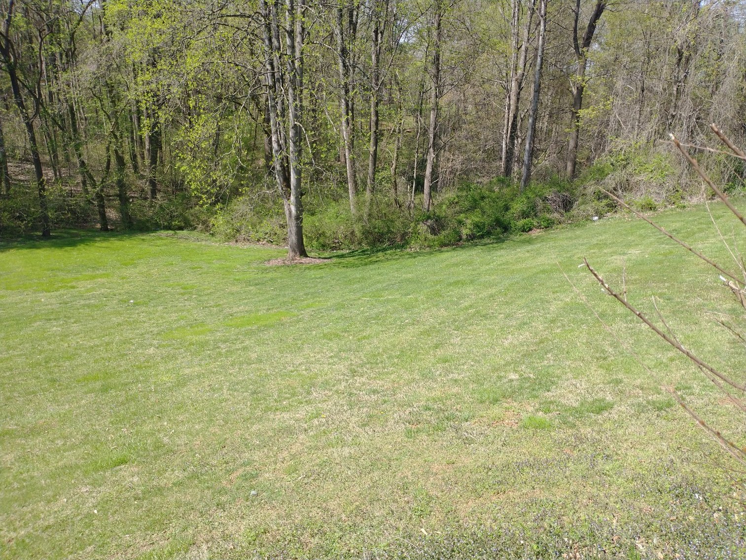 Image for Commissioner's Sale - House/Lot in Jonesville, NC