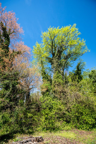 Image for City of Hampton, VA Sale of Tax Delinquent Real Estate