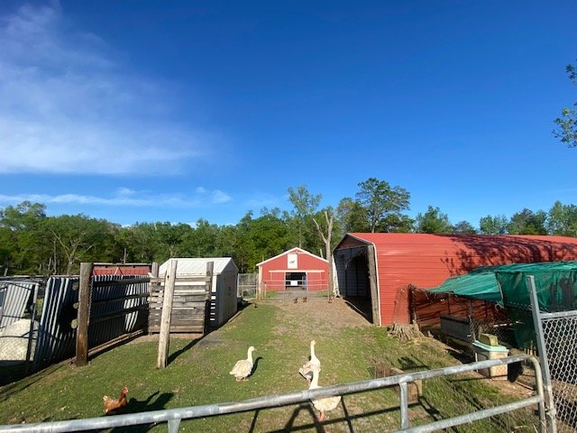 Image for 323 Wilson Farm Road REAL ESTATE