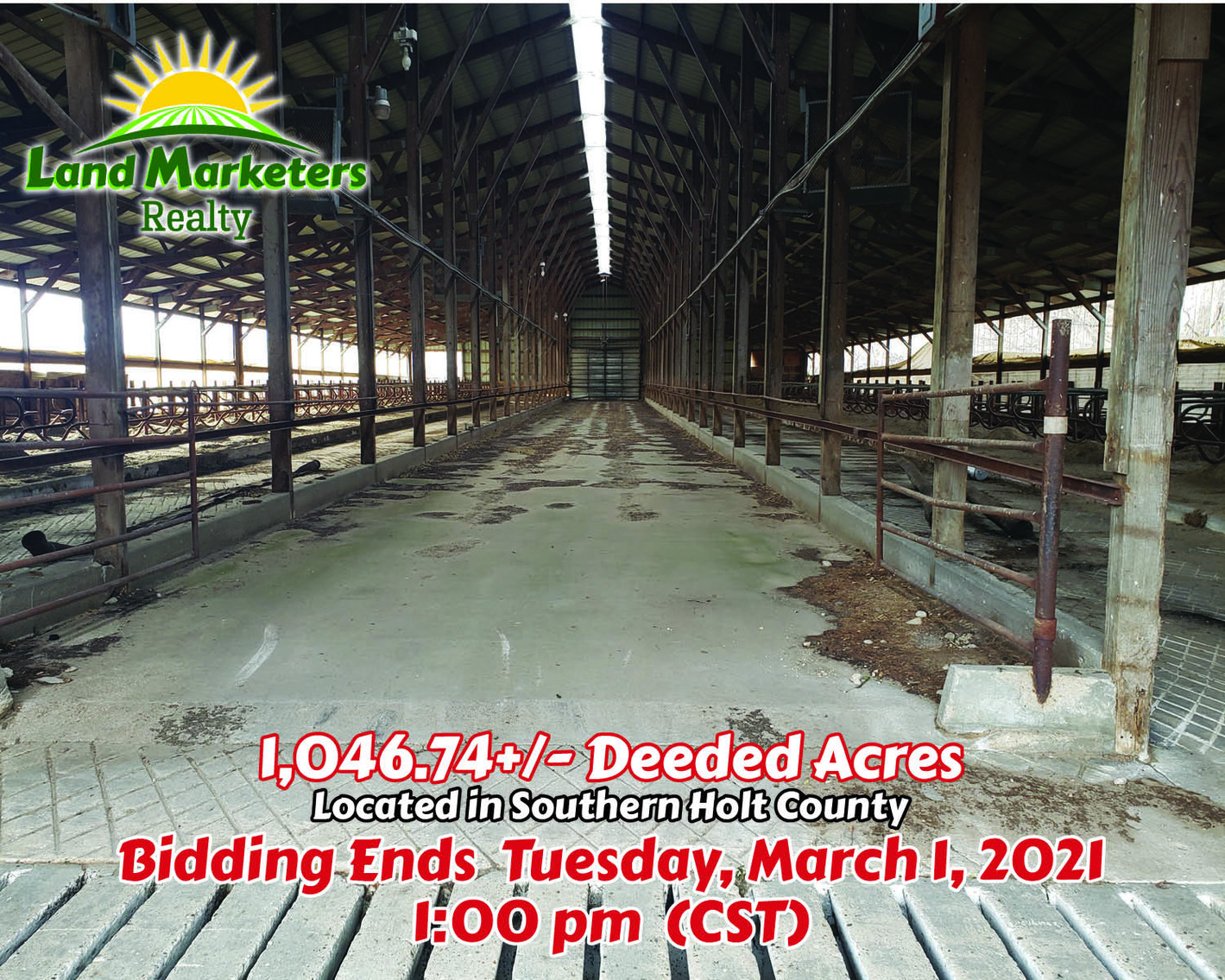 Image for Waller Family Online Auction - 1,046.74+/- Deeded Acres SOLD in 4 Tracts