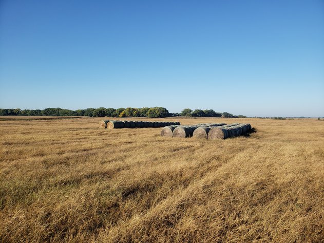 Image for 153+/- Deeded Acres Southwest of Ewing, NE (135.8 Irrigated Acres)