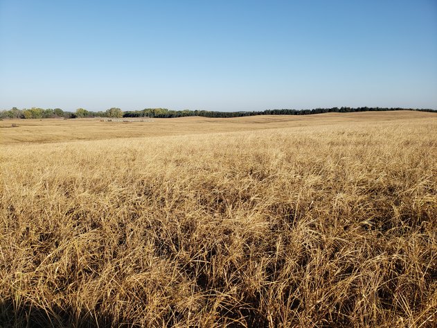 Image for 153+/- Deeded Acres Southwest of Ewing, NE (135.8 Irrigated Acres)