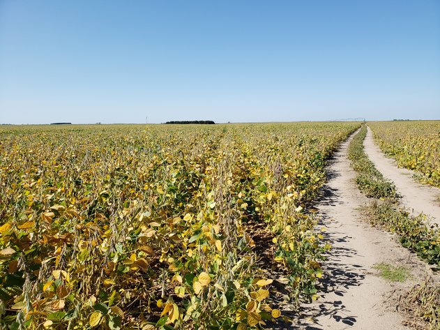 Image for 153+/- Deeded Acres North of Bassett, NE