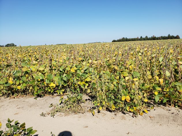 Image for 153+/- Deeded Acres North of Bassett, NE