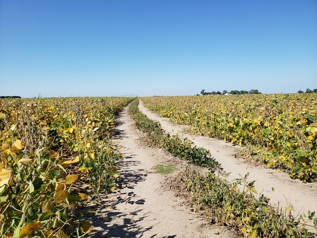 Image for 153+/- Deeded Acres North of Bassett, NE