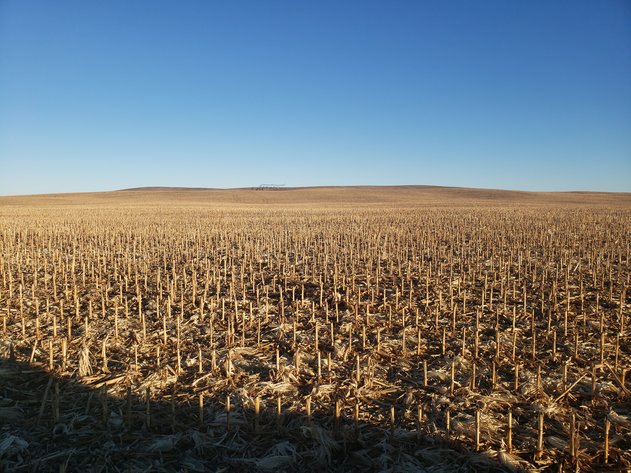 Image for 768+/- Deeded Acres North of Ewing, NE