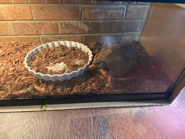 Image for 323 Wilson Farm Road CONTENTS