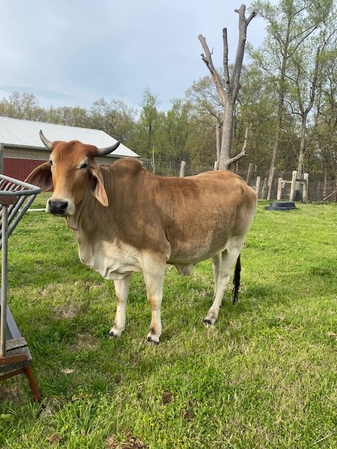 Image for 323 Wilson Farm Road CONTENTS