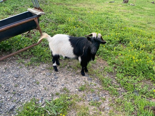 Image for 323 Wilson Farm Road CONTENTS