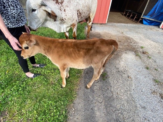 Image for 323 Wilson Farm Road CONTENTS