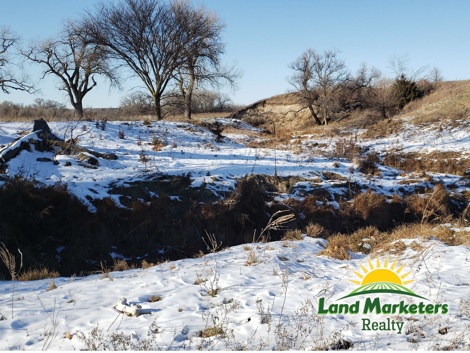 Image for Antelope County Grassland
