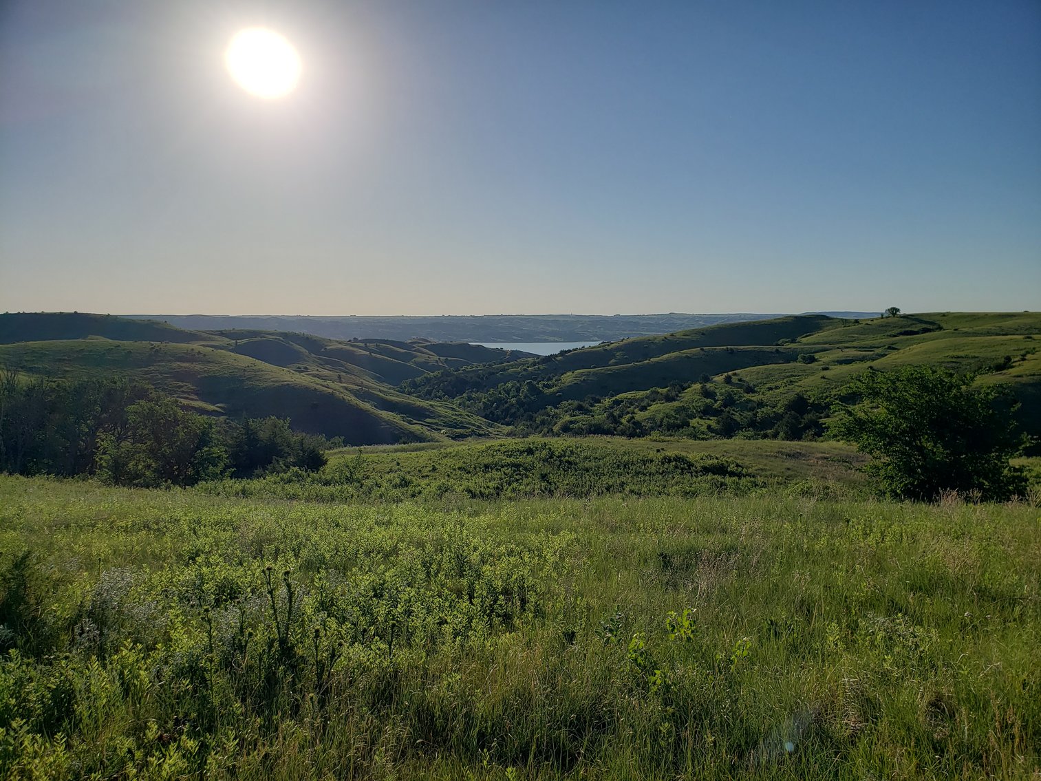 Image for 54+/- Acres in Lyman, SD Offered as 1 Unit of Multiple Tracts