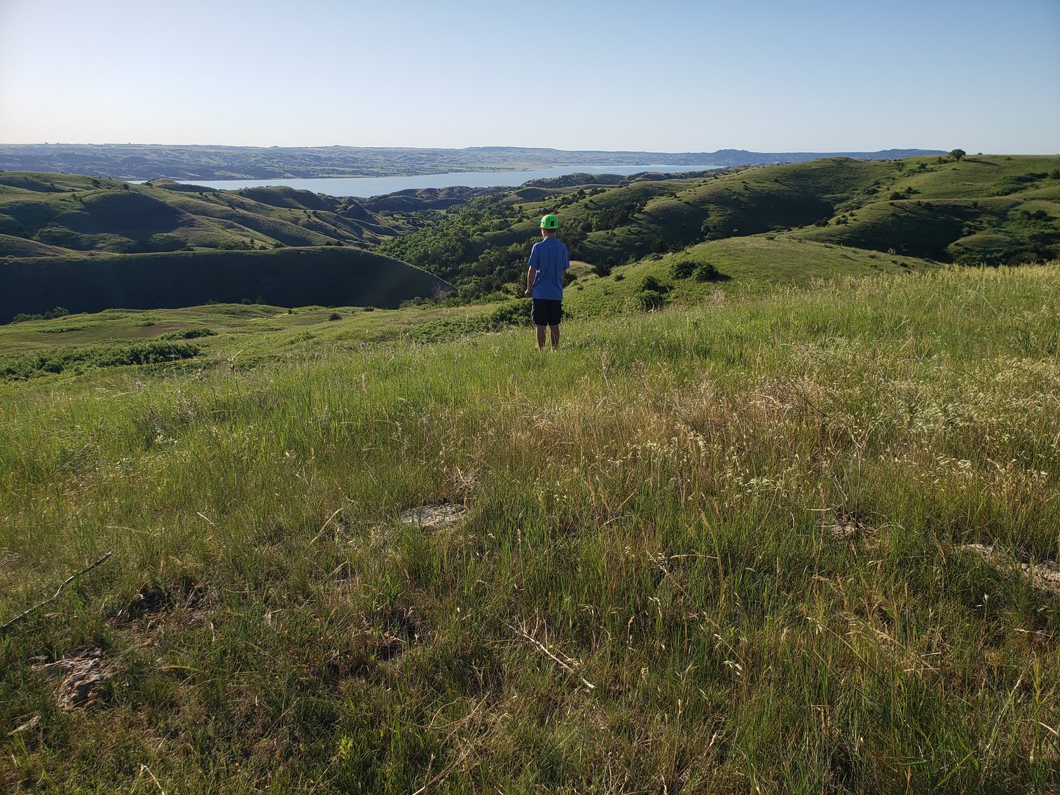 Image for 54+/- Acres in Lyman, SD Offered as 1 Unit of Multiple Tracts