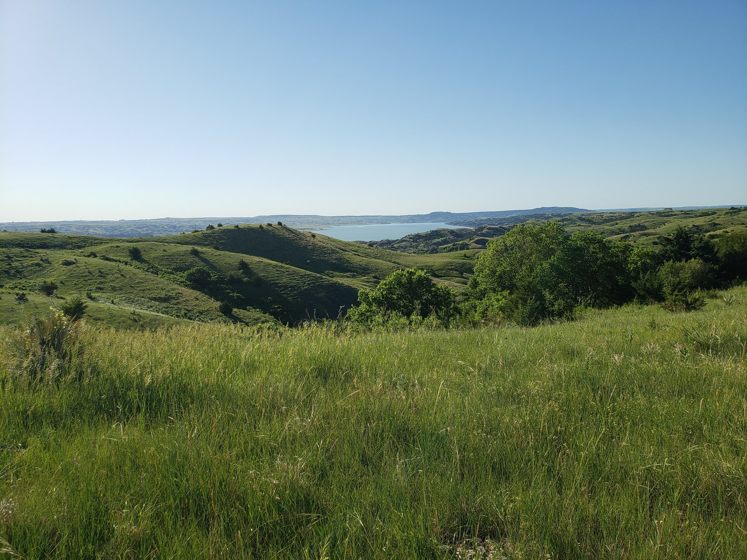 Image for 54+/- Acres in Lyman, SD Offered as 1 Unit of Multiple Tracts