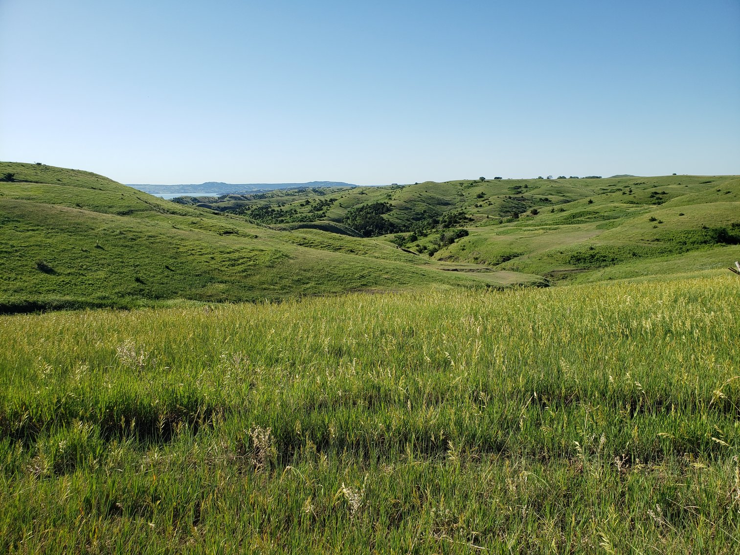 Image for 54+/- Acres in Lyman, SD Offered as 1 Unit of Multiple Tracts