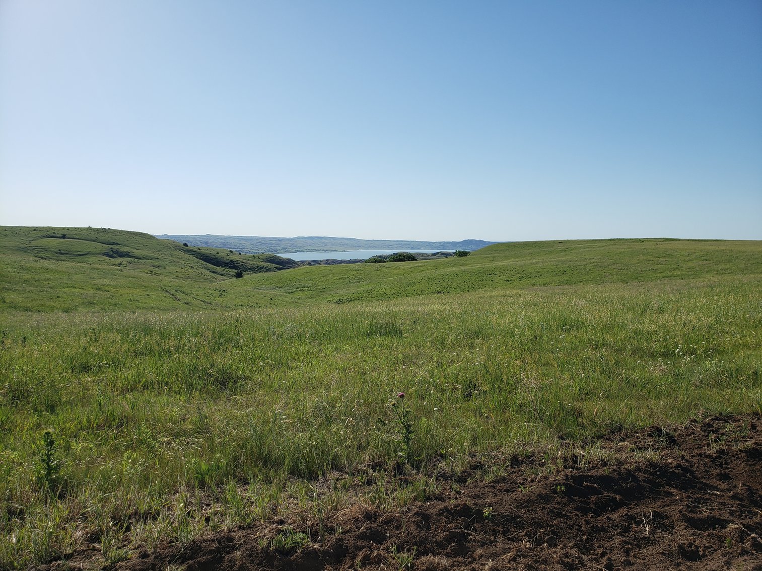 Image for 54+/- Acres in Lyman, SD Offered as 1 Unit of Multiple Tracts