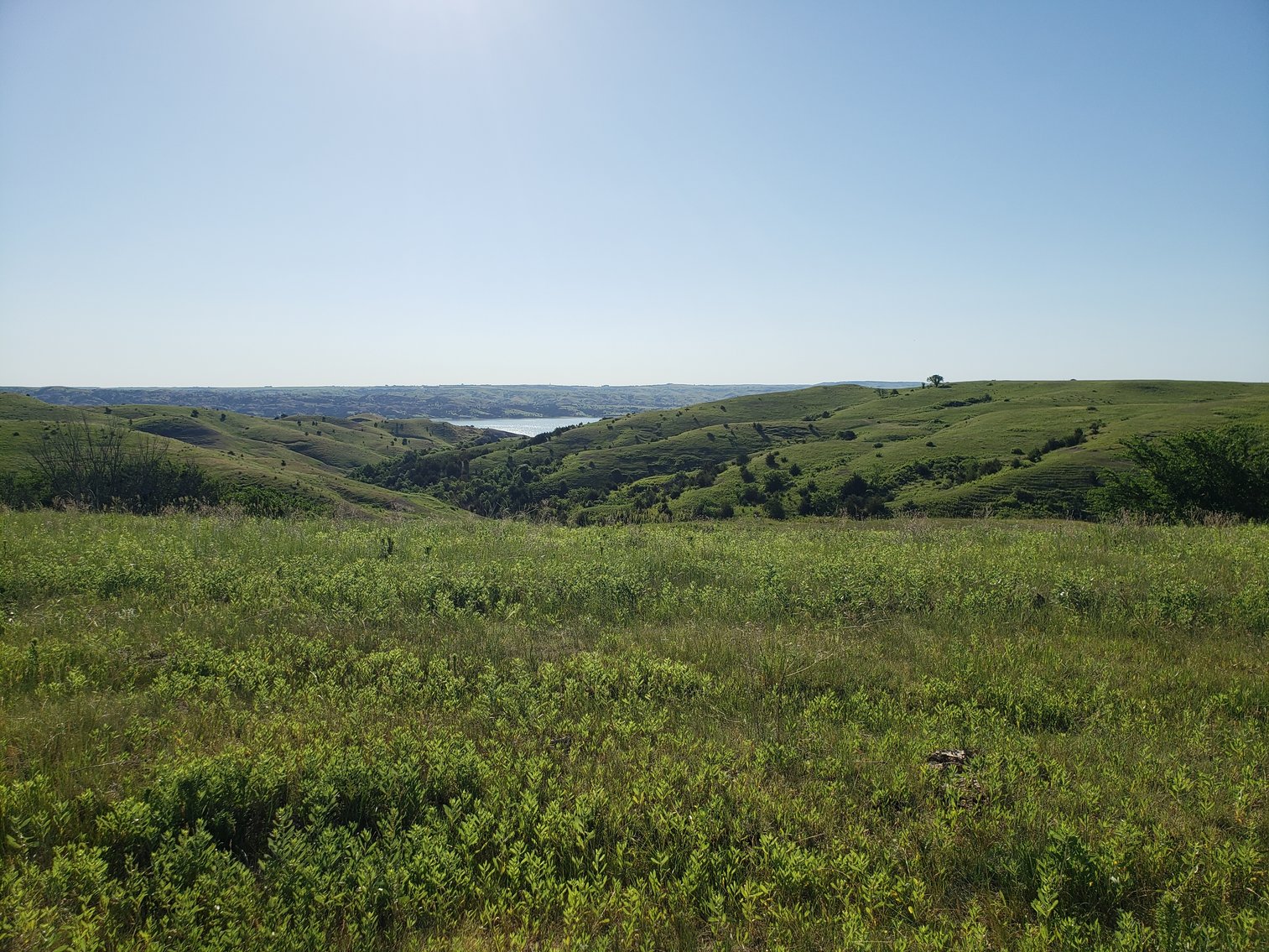 Image for 54+/- Acres in Lyman, SD Offered as 1 Unit of Multiple Tracts