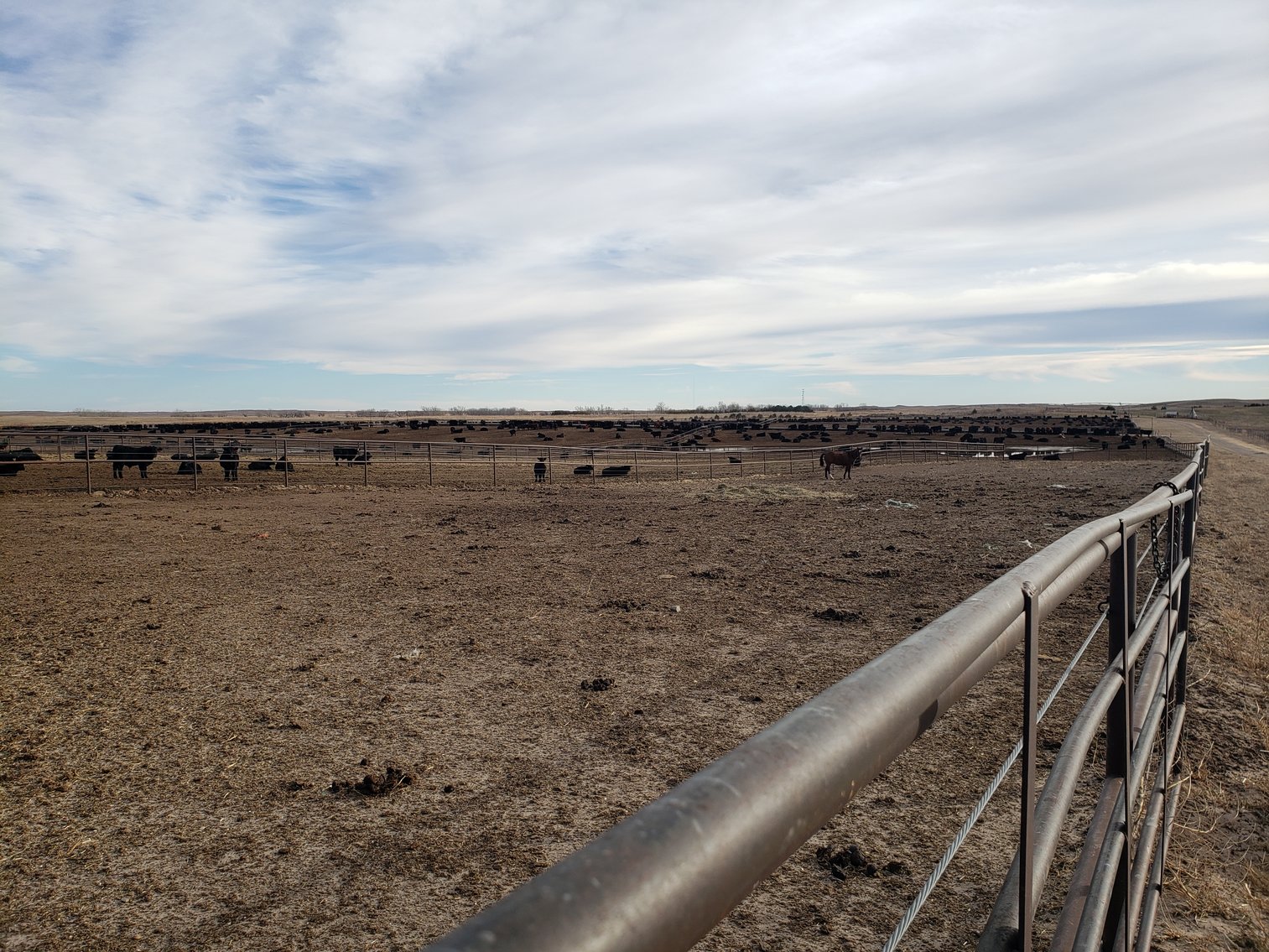 Image for 1,369 +/- Acres South of Bassett, NE