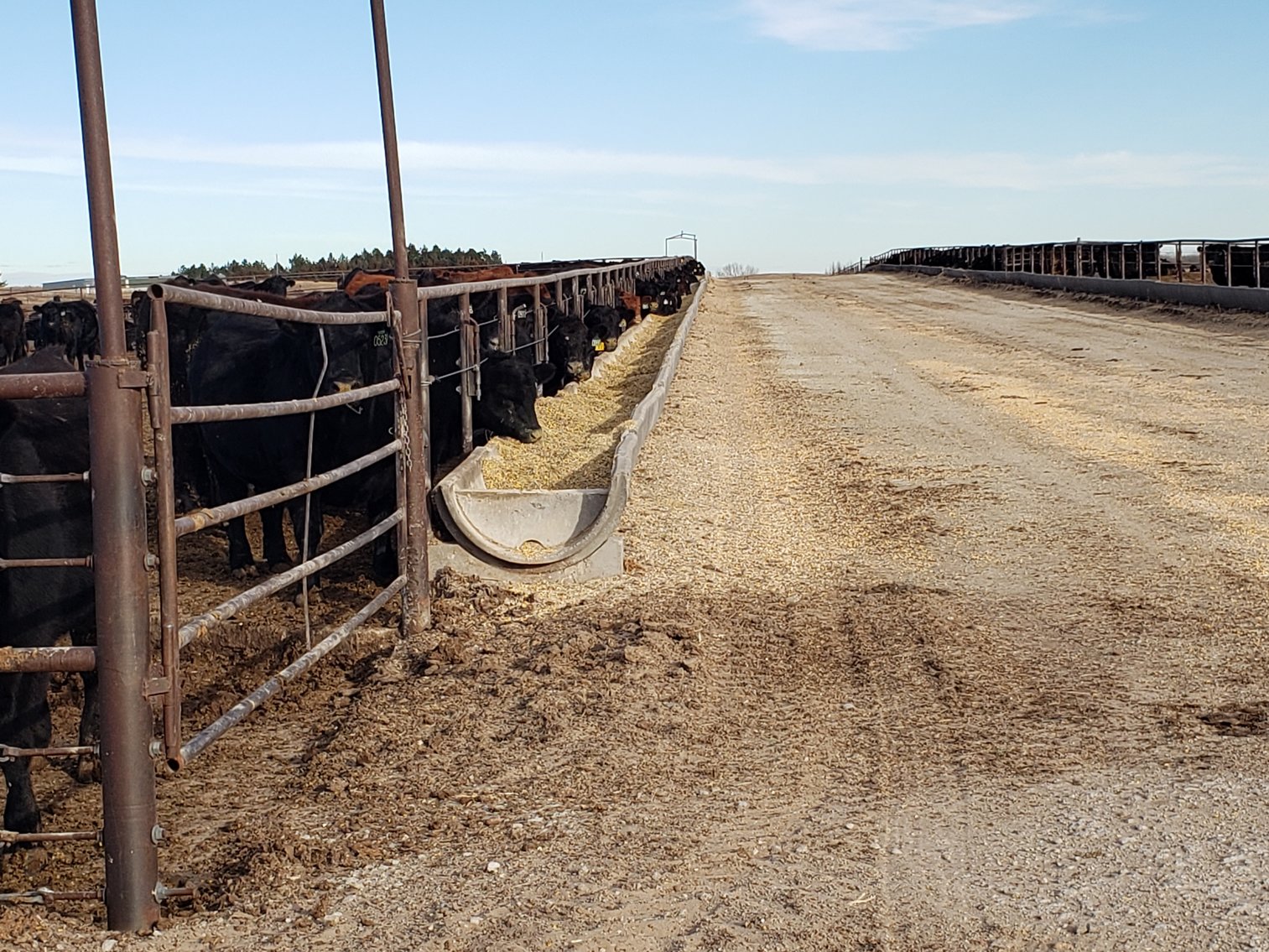 Image for 1,369 +/- Acres South of Bassett, NE