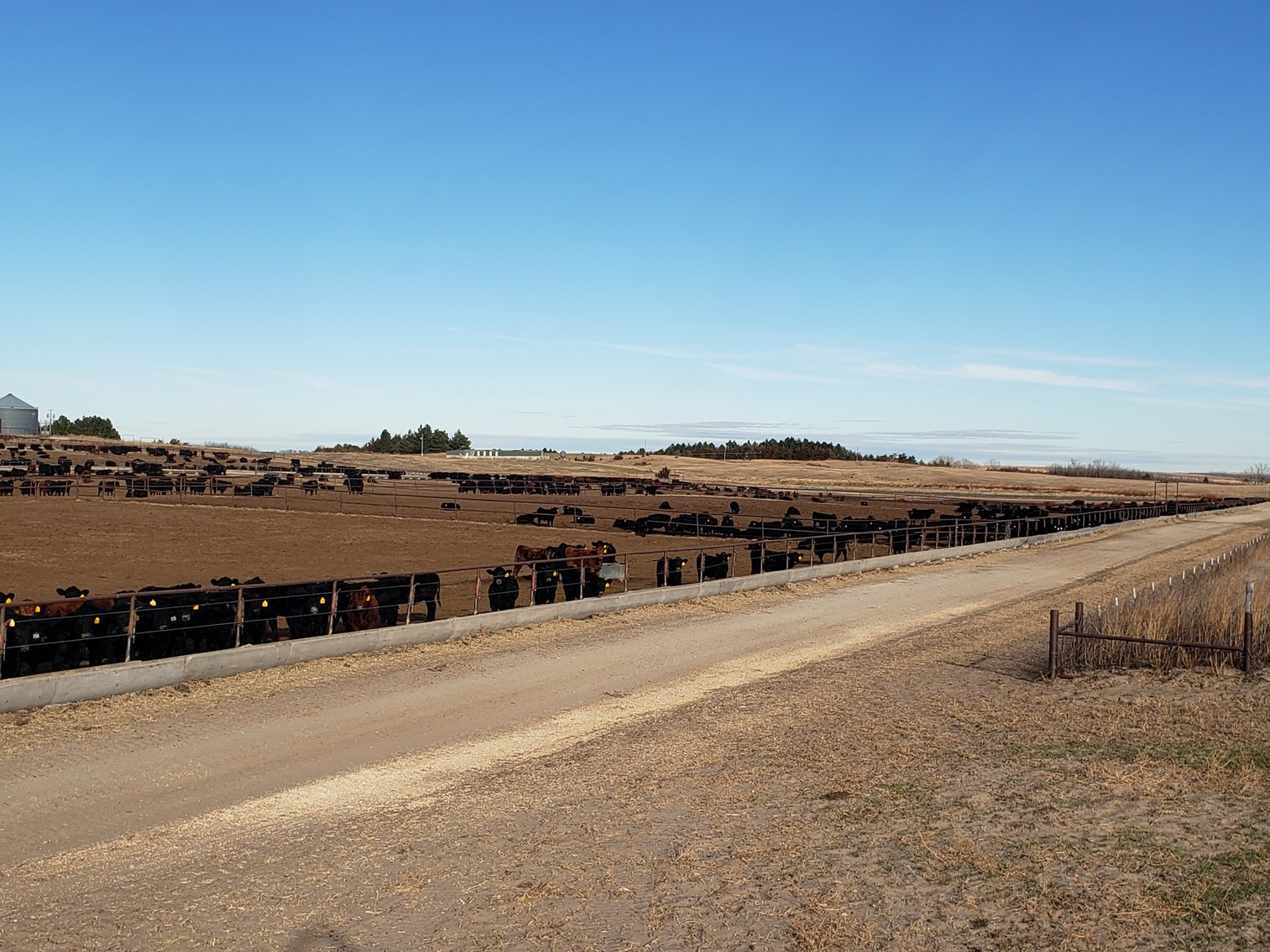 Image for 1,369 +/- Acres South of Bassett, NE