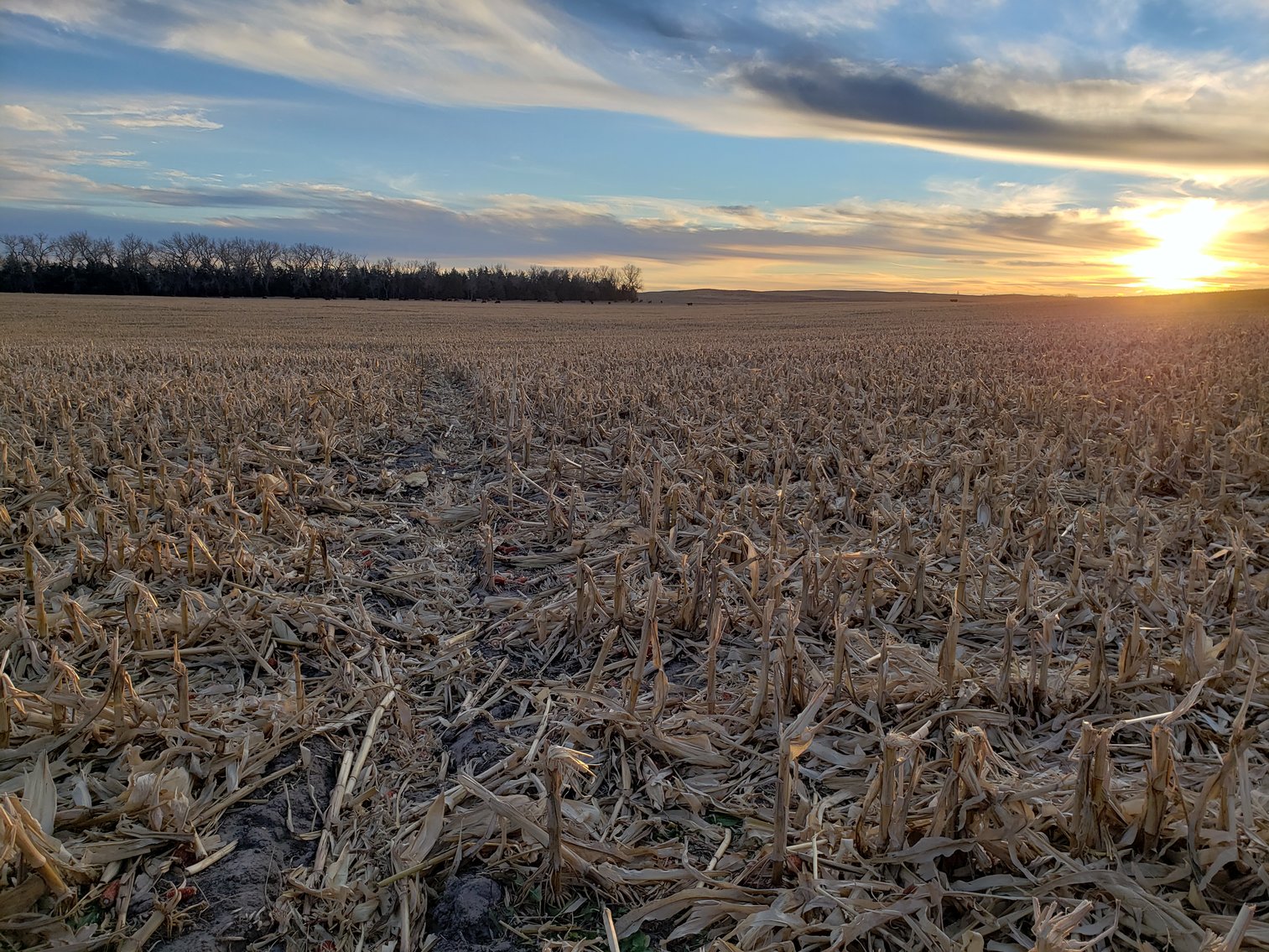 Image for 1,369 +/- Acres South of Bassett, NE