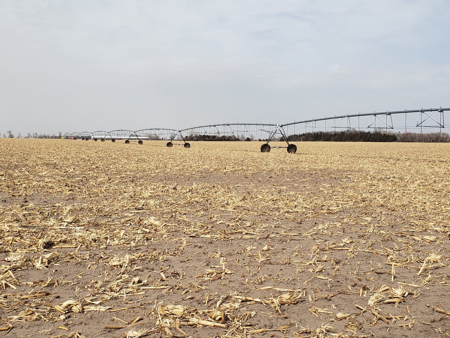 Image for 626+/- Deeded Acres in Holt County, NE