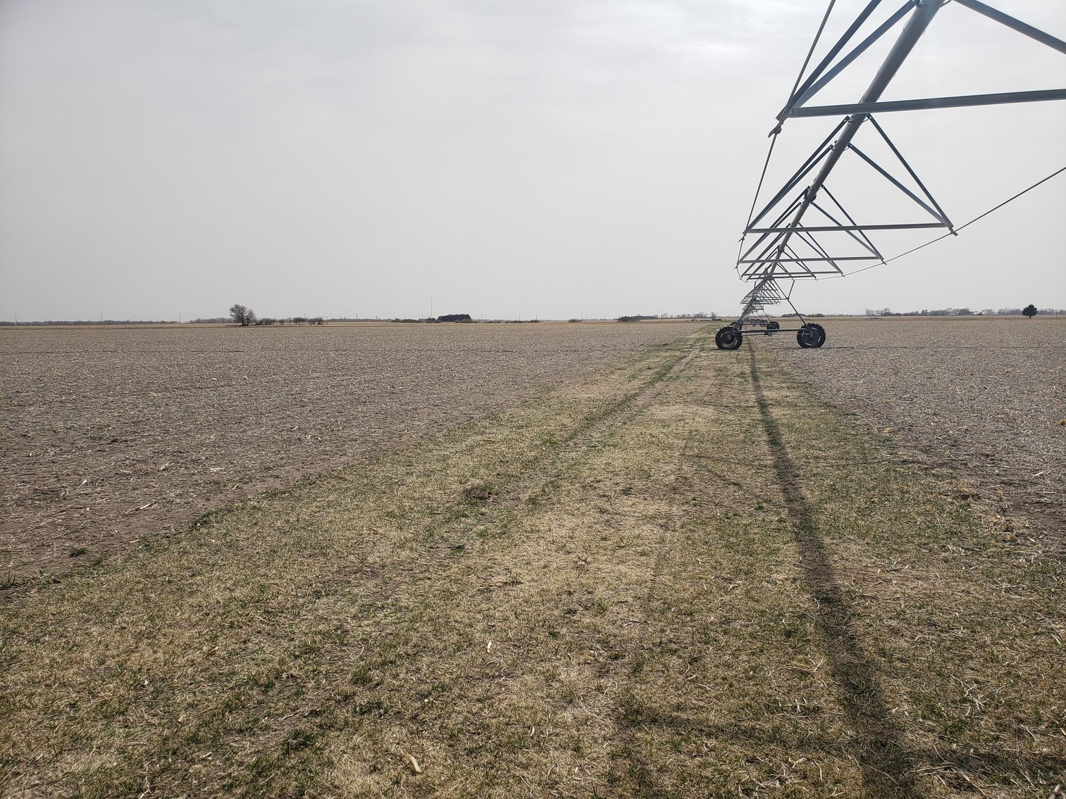 Image for 626+/- Deeded Acres in Holt County, NE