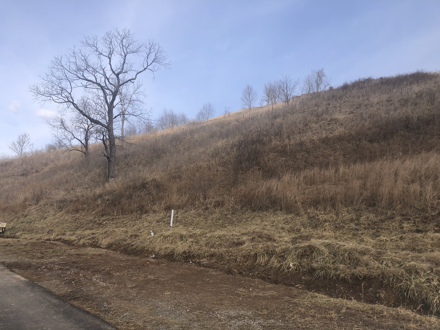 Image for SOLD - 4 Acres of Commercial Land Along DuPont Road